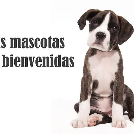 Alvarez Casa de hóspedes *