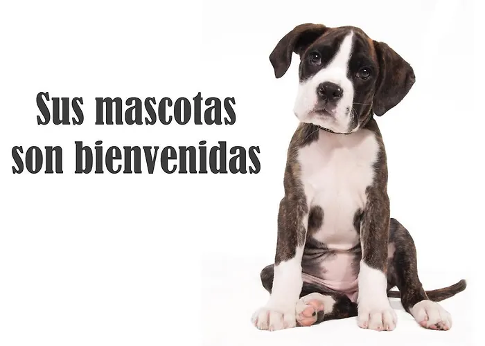 Alvarez 게스트하우스 *